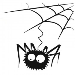 Spider web med en spindel - vinyl bil klistermärke