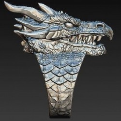 Dragon head - stainless steel ring