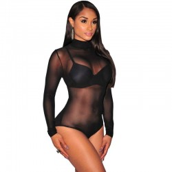 Transparent mesh bodysuit - with half turtleneck - long sleeveLingerie