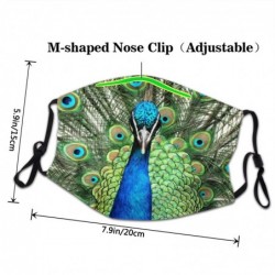 Green peacock - adult face mask - non-disposable - washable - dust proof / anti-virus