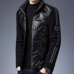 Fashionable short jacket - shiny down winter windbreaker