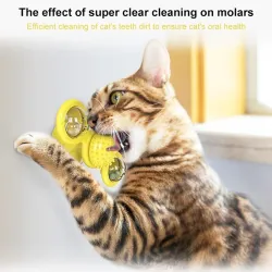 Windmill - cat toy - hair brush / toothbrush - glow ball