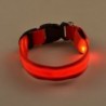 LED dog collar - luminous / flashing - safety night walk
