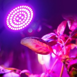 LED plant grow light - bulb - hydroponic - full spectrum - E27 / E14 / MR16/ GU10 - 220V - 2 pieces