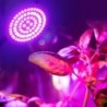 LED plant grow light - bulb - hydroponic - full spectrum - E27 / E14 / MR16/ GU10 - 220V - 2 pieces