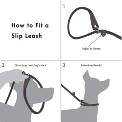 Dog leash - collar - adjustable loop - durable