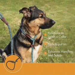 Dog leash - collar - adjustable loop - durable