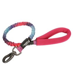 Dog leash - collar - with traction rope / buckle