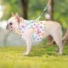 Dog harness with leash / buckle - rainbow dots