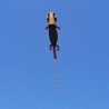 Large lizard - gecko - kite - inflatable - single line - 12mKites