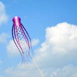 Large octopus - kite - inflatable - with line - 15m / 23m / 30m