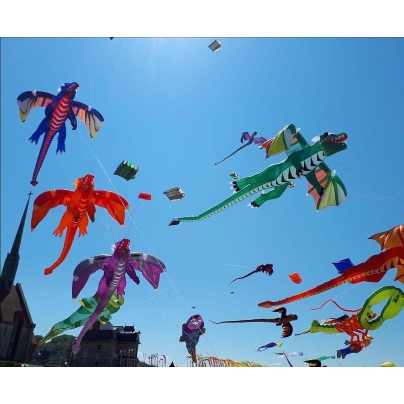 3D flying dragon - kite - 6.5mKites