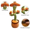 Electric cactus with Spanish sombrero - funny plush doll - twisting / dancing / recording