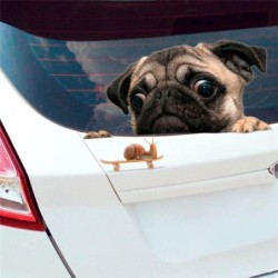 Bilruteklistermärke - vinyl - vattentät - hund med snigel
