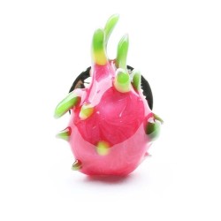 Moderiktig brosch med en drakfrukt