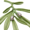 Elegant brooch with green oliveBrooches