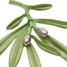 Elegant brosch med grön oliv