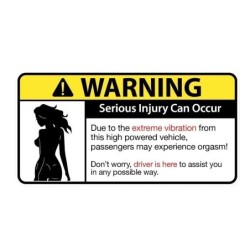 Rolig bilklistermärke - "Sexy Girl Warning Serious Injury Can Occur"