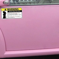 Funny car sticker - "Sexy Girl Warning Serious Injury Can Occur"Stickers