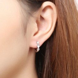 Elegant earrings - hearts / zirconia - 925 sterling silverEarrings