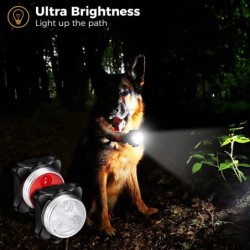 Djurhalsbandslampa - LED - säkerhet - nattvandring