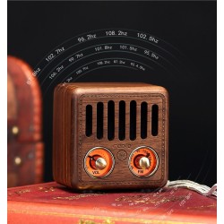 Retro plastic speaker - digital FM radio - BluetoothBluetooth speakers