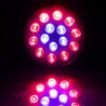 LED växtodlingslampa - hydroponiskt ljus - E27 - 6W - 15W - 21W - 27W - 36W - 45W - 54W