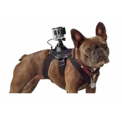 Hundsele - bröstrem - fäste för GoPro Hero-kameror