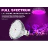 LED-lampa - växtodlingsljus - fullt spektrum - hydroponisk - E27 - 10W - 30W - 50W - 80W