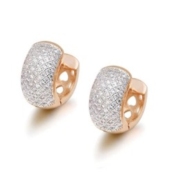 Elegant small hoop earrings - full zircon