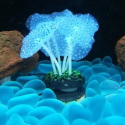 Lysande havsanemon - akvariedekoration