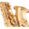 Professionell saxofon - key-Eb Alto - med fodral / tillbehör