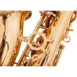 Professionell saxofon - key-Eb Alto - med fodral / tillbehör