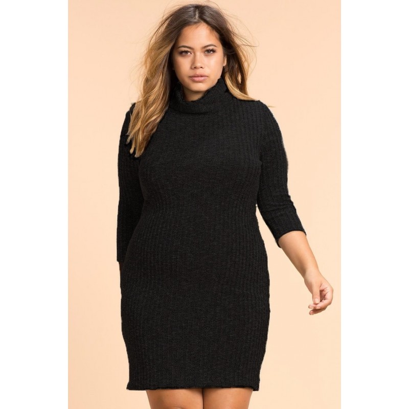 Plus Size High Neck Casual Winter Dress