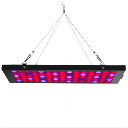 Växa GL-2 40W LED växa ljus lampa med röd blå UV & IR spektrum