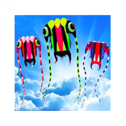Large kite with lineKites